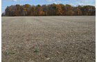 Property photo 41 - 75.3 Acres Offered in 2 Tracts